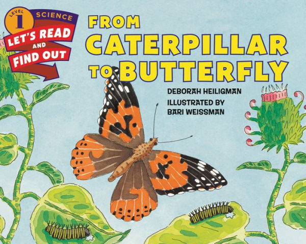 From Caterpillar to Butterfly