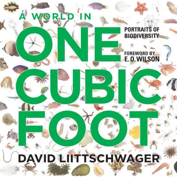 A World in One Cubic Foot: Portraits of Biodiversity