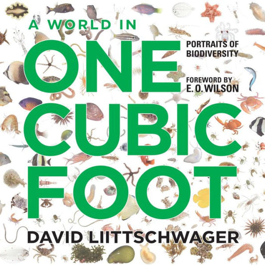 A World in One Cubic Foot: Portraits of Biodiversity