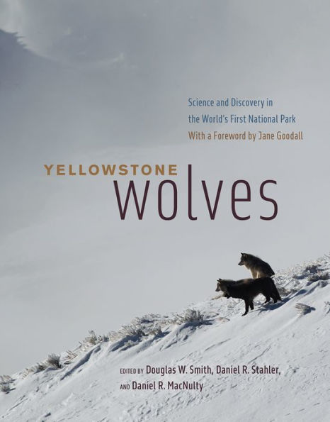 Yellowstone Wolves: Science and Discovery in the World's First National Park