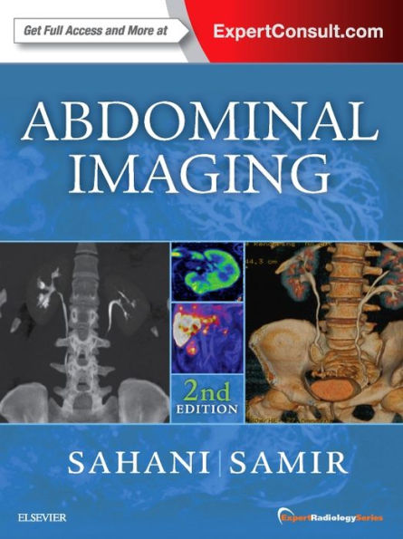 Abdominal Imaging: Expert Radiology Series / Edition 2