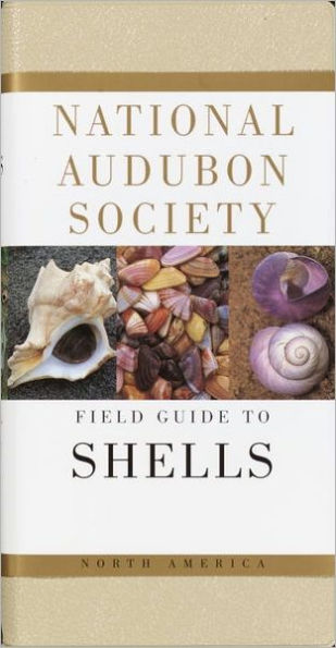 National Audubon Society Field Guide to Shells: North America