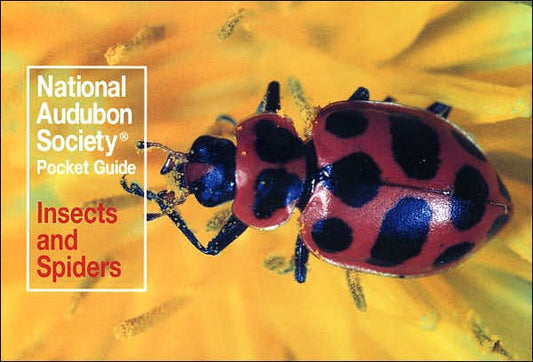 National Audubon Society Pocket Guide: Insects and Spiders