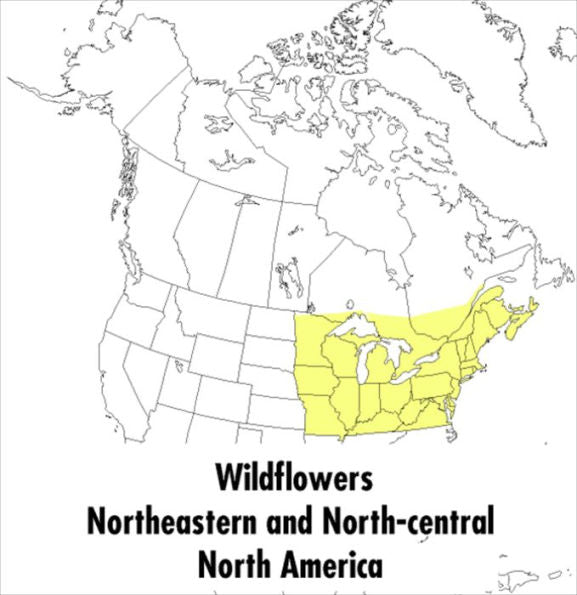 A Peterson Field Guide To Wildflowers: Northeastern and North-central North America