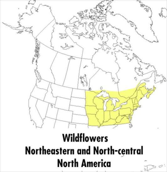 A Peterson Field Guide To Wildflowers: Northeastern and North-central North America