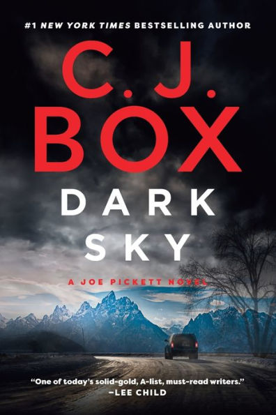 Dark Sky (Joe Pickett Series #21)