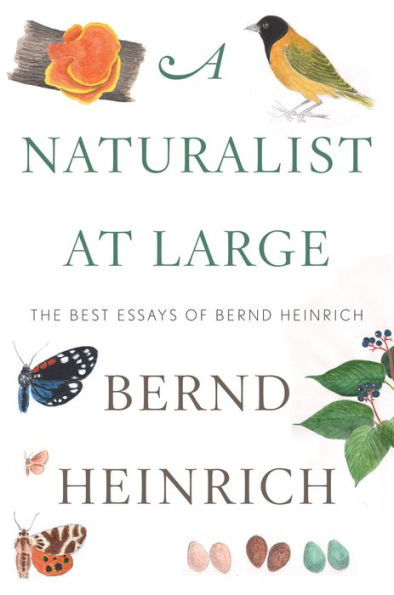 A Naturalist At Large: The Best Essays of Bernd Heinrich