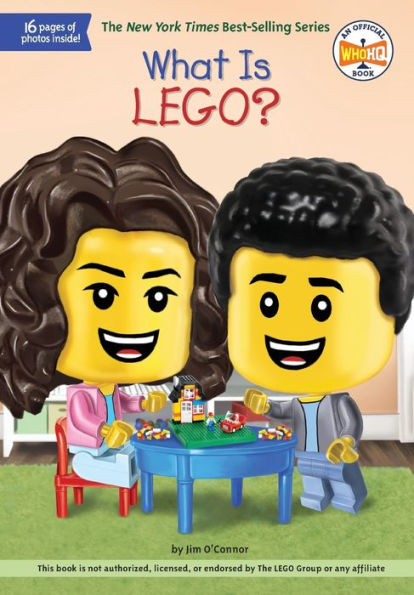 What Is LEGO?