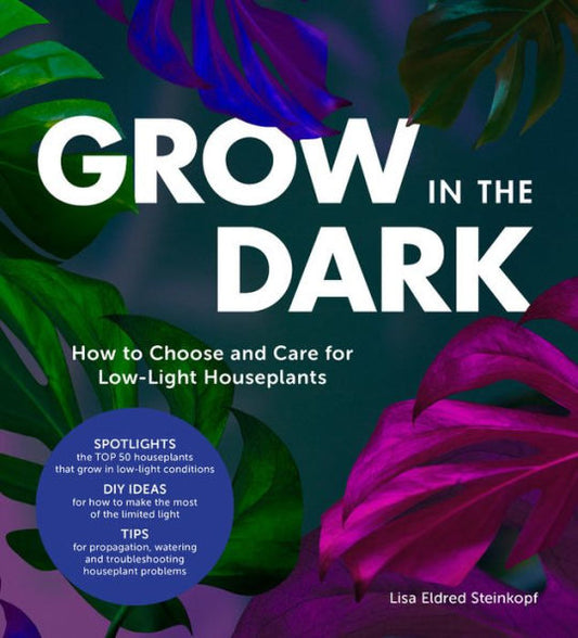 Grow in the Dark: How to Choose and Care for Low-Light Houseplants