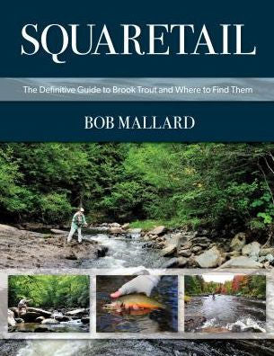 Squaretail: The Definitive Guide to Brook Trout and Where to Find Them