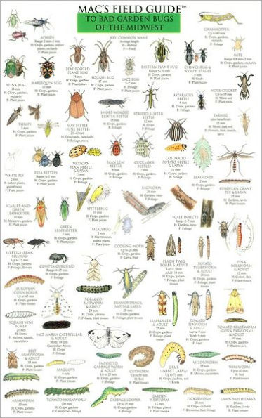 Mac's Field Guide to Bad Garden Bugs of the Midwest