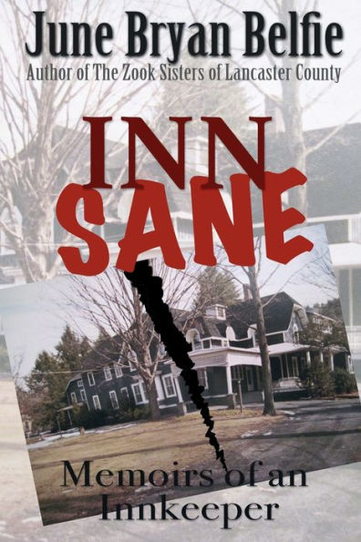 Inn Sane: Memoirs of an Innkeeper