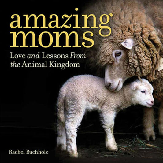 Amazing Moms: Love and Lessons From the Animal Kingdom