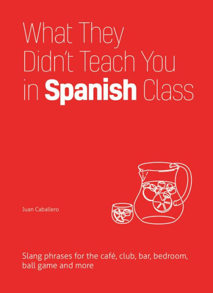 What They Didn't Teach You in Spanish Class: Slang Phrases for the Cafe, Club, Bar, Bedroom, Ball Game and More
