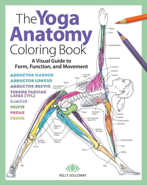 Yoga Anatomy Coloring Book: A Visual Guide to Form, Function, and Movement