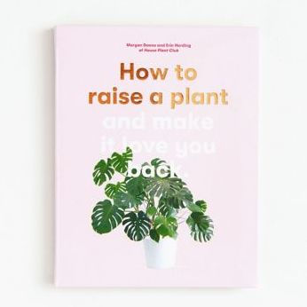 How to Raise a Plant: and Make It Love You Back (A modern gardening book for a new generation of indoor gardeners)