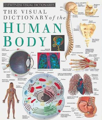 Eyewitness Visual Dictionaries: The Visual Dictionary of the Human Body