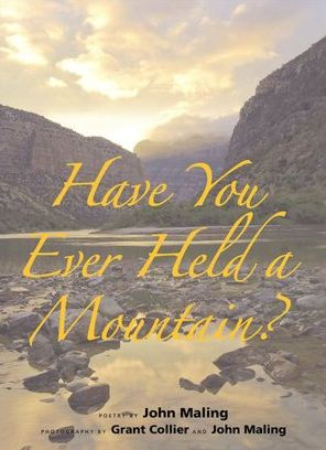 Have You Ever Held a Mountain