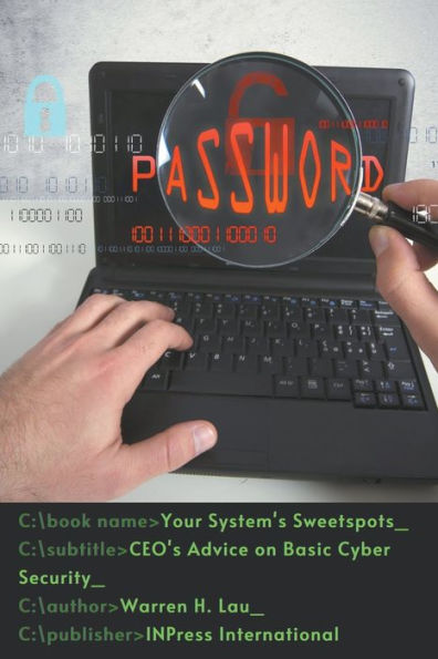 Your System's Sweetspots: CEO's Advice on Basic Cyber Security